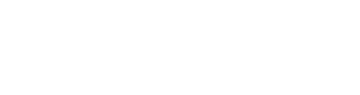Spark Logo